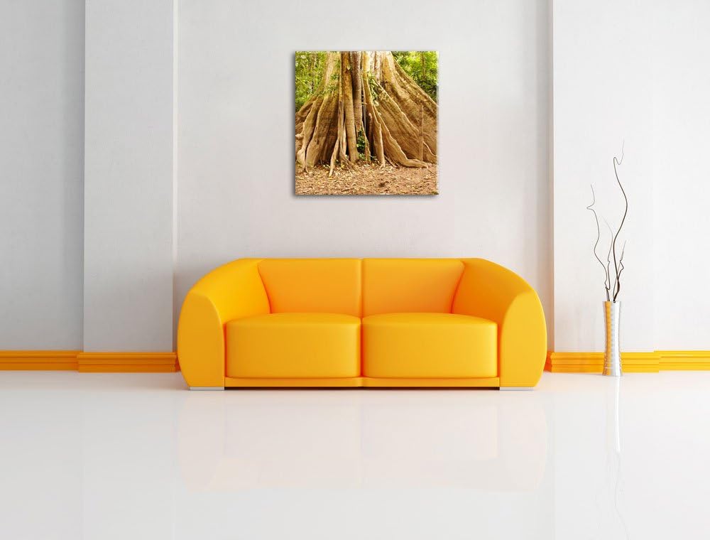 Mächtiger Urwald Baum, Format: 70x70 auf Leinwand, XXL riesige Bilder fertig gerahmt mit Keilrahmen,