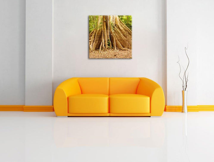 Mächtiger Urwald Baum, Format: 70x70 auf Leinwand, XXL riesige Bilder fertig gerahmt mit Keilrahmen,