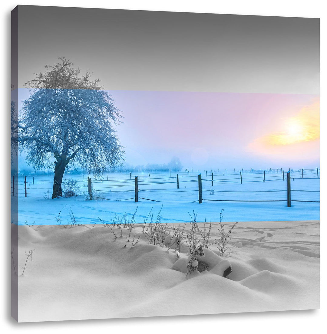 Pixxprint Baum in Winterlandschaft als Leinwandbild | Grösse: 70x70 cm | Wandbild | Kunstdruck | fer