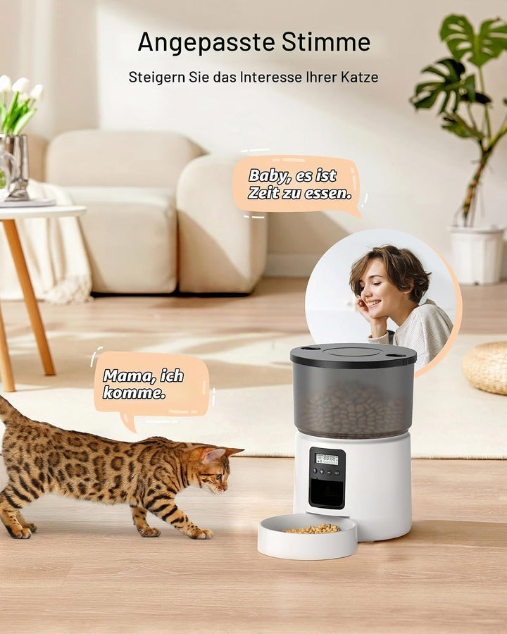 BEMOONY Futterautomat Katze, Katzenfutter Automat mit Programmierbarem Timer, 1-6 Mahlzeiten pro Tag