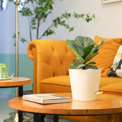 T4U Kunststoff Blumentopf mit Bewässerungssystem, 6er-Set Selbstbewässerung Übertopf mit Untersetzer