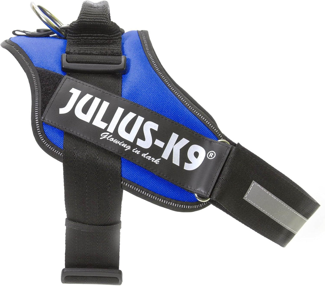 Julius K9 Hundegeschirr, Brustgeschirr reflektierend Hunde Geschirr mit personalisiertes Geschenk, b