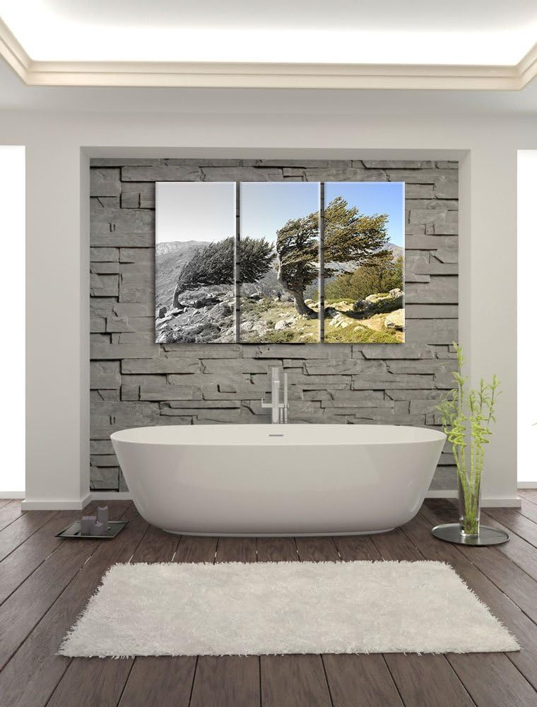 Alter Schiefer Baum in den Bergen schwarz/weiss 3-Teiler Leinwandbild 120x80 Bild auf Leinwand, XXL