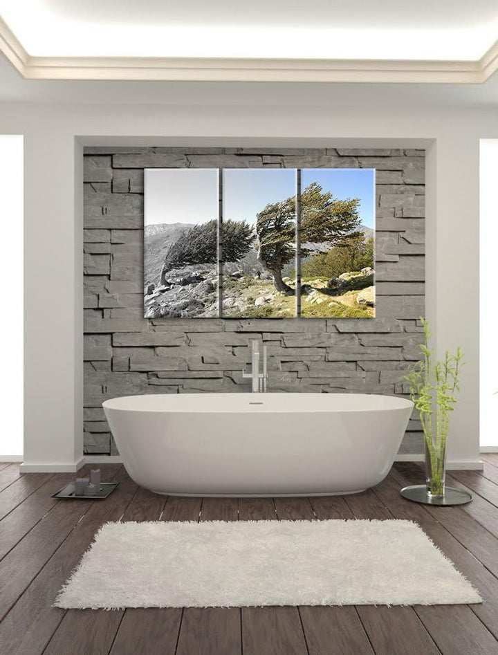 Alter Schiefer Baum in den Bergen schwarz/weiss 3-Teiler Leinwandbild 120x80 Bild auf Leinwand, XXL