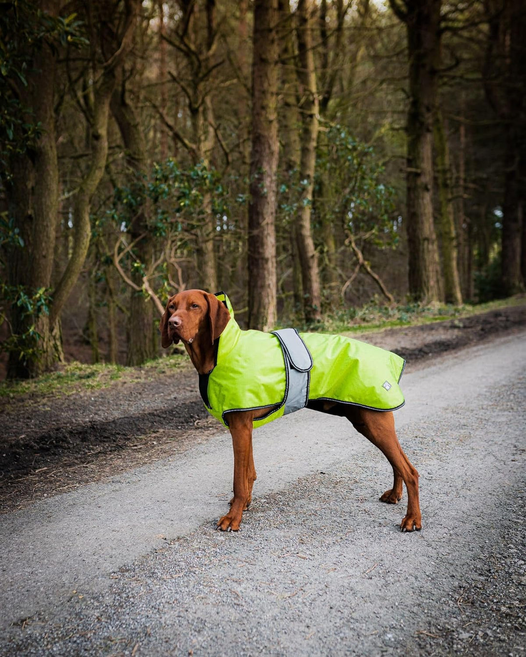 Danish Design Hi-Viz 2-in-1 Hundemantel mit abnehmbarem Fleecefutter, wasserdicht, Winddicht, 55 cm,