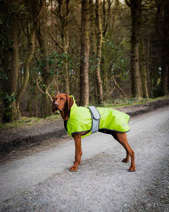 Danish Design Hi-Viz 2-in-1 Hundemantel mit abnehmbarem Fleecefutter, wasserdicht, Winddicht, 55 cm,