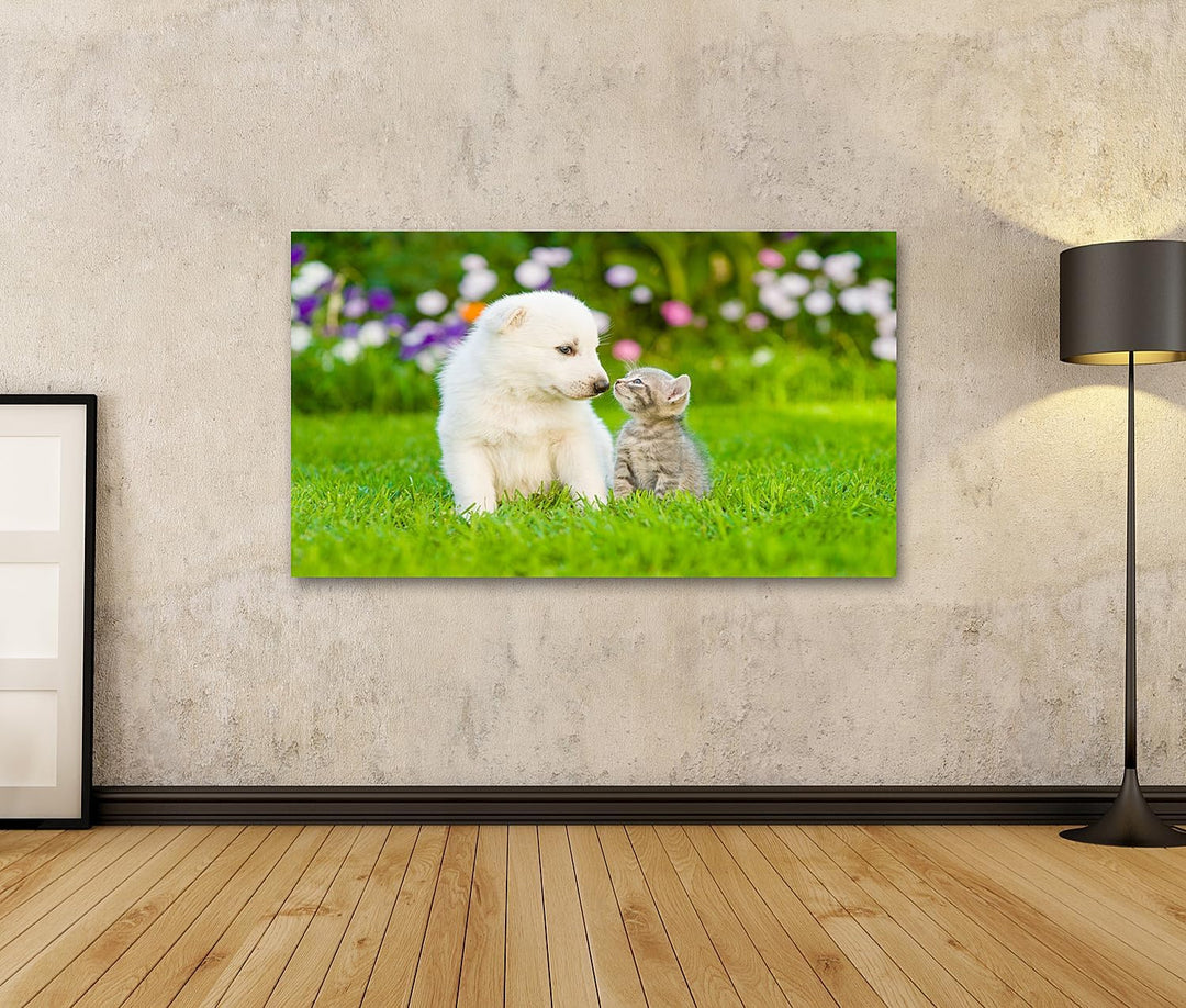 islandburner Bild auf Leinwand Kätzchen Und Weisser Welpen Küssen Auf Grünem Gras Bilder Wandbilder