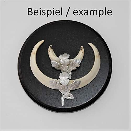 3 x Keilerschilder Keilerbrett Gewaffbrett Trophäenschild rund dunkel AF 15 cm mit 6 Stück Aluminium