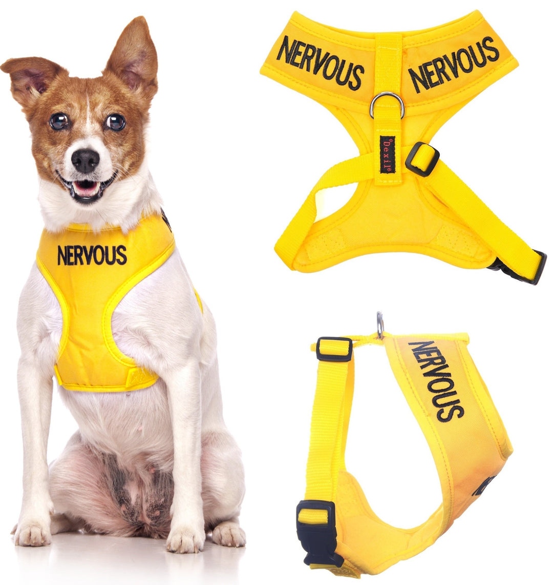 Nervous (Give Me Space) Hundegeschirr, farbcodiert, Nicht ziehend, vorne und hinten, D-Ring, gepolst