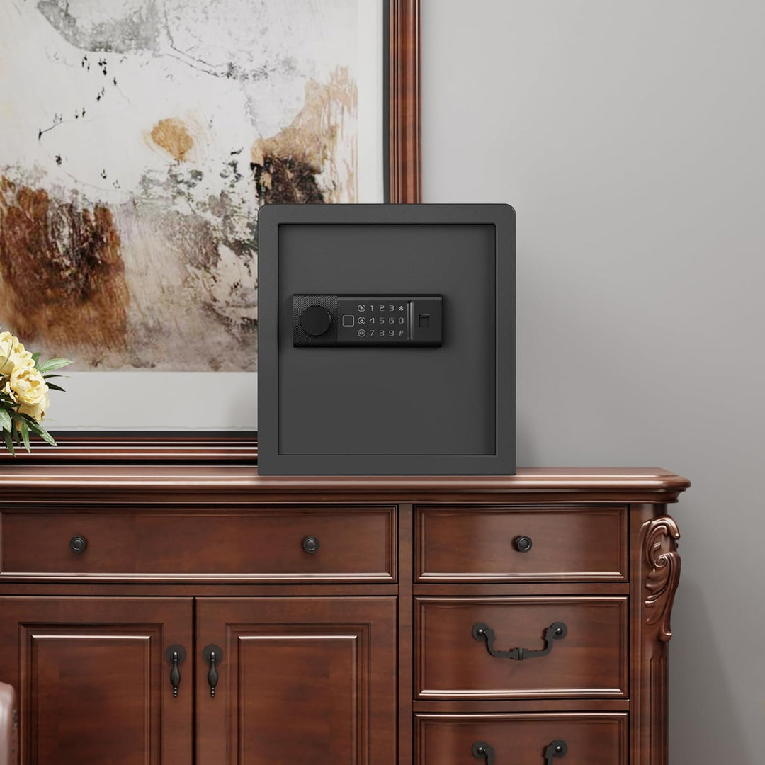 RPNB Biometrischer Tresor, Hintergrundbeleuchtete Touchpad, Kleiner Tresor für Zuhause mit Notfall-U