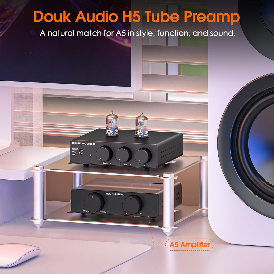Douk Audio Röhrenvorverstärker MM Phono-Stufe HiFi Stereo-Vorverstärker mit Tiefpassfilter, Subwoofe