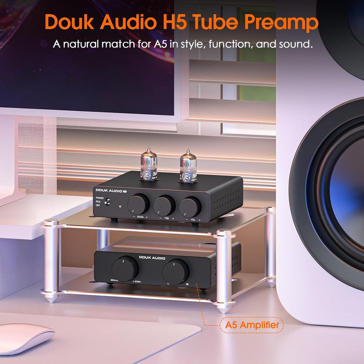 Douk Audio Röhrenvorverstärker MM Phono-Stufe HiFi Stereo-Vorverstärker mit Tiefpassfilter, Subwoofe