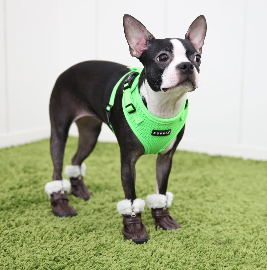 Puppia Neon Hundegeschirr für kleine bis mittelgrosse Hunde - verstellbar und sehr weich - Auch als
