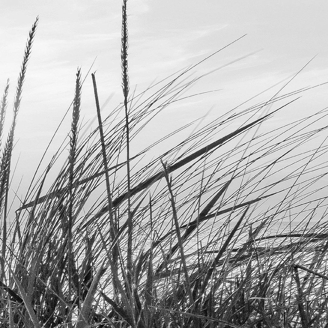 Runa Art Wandbild XXL Strand Sonnenuntergang Schlafzimmer Wohnzimmer 200 x 80 cm Schwarz Weiss 5 Tei