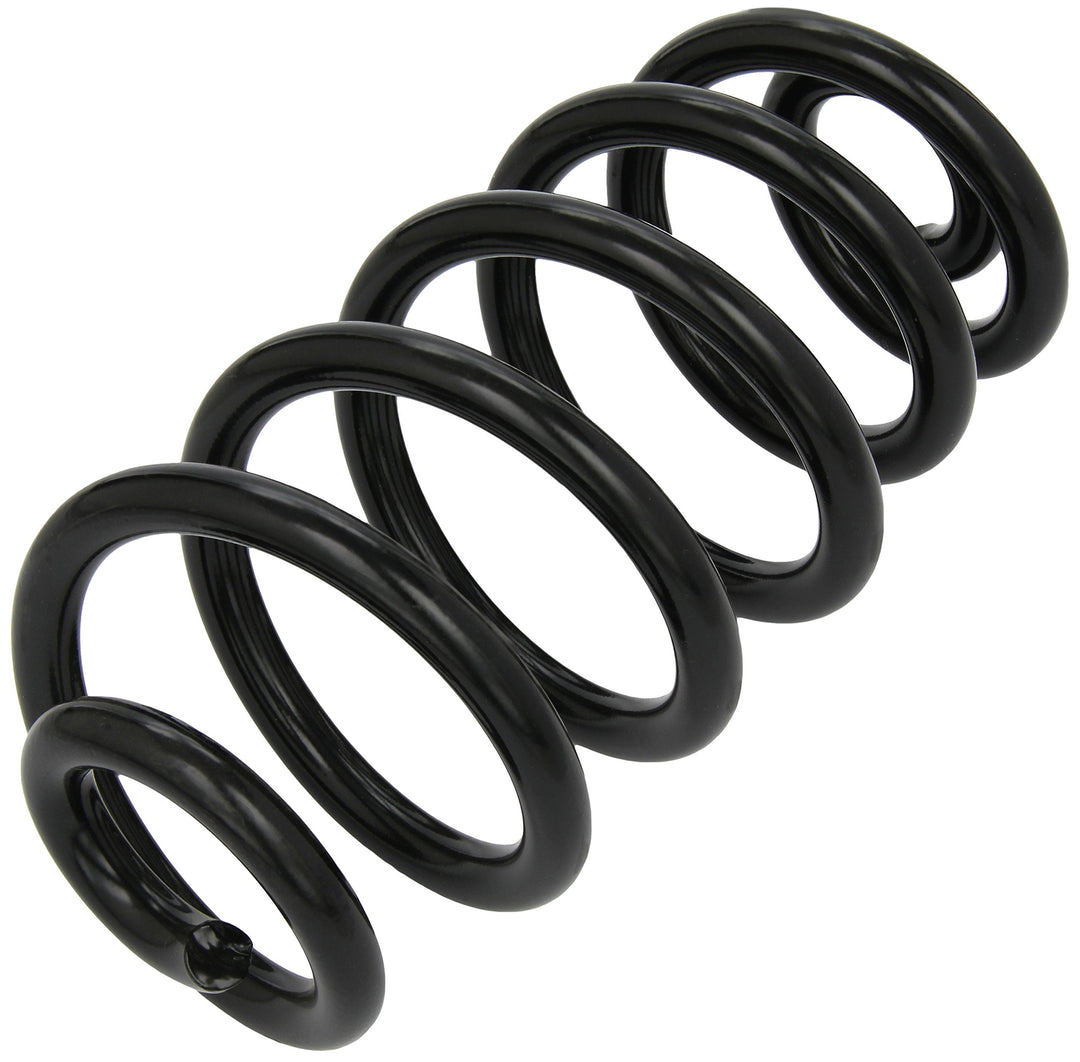 Triscan 875029093 Fahrwerksfeder