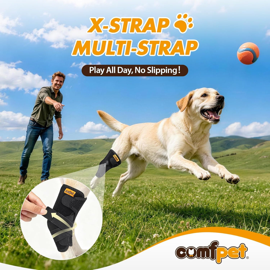 Hundehalsbandage für hintere Sprunggelenk, Hund Bein Unterstützung Wrap mit Metall-Streifen, Hinterb