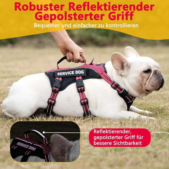 Huntboo Hundegeschirr Kleine Hunde, Sicherheitsgeschirr Hund Ausbruchsicher mit 6 Patches, Service G