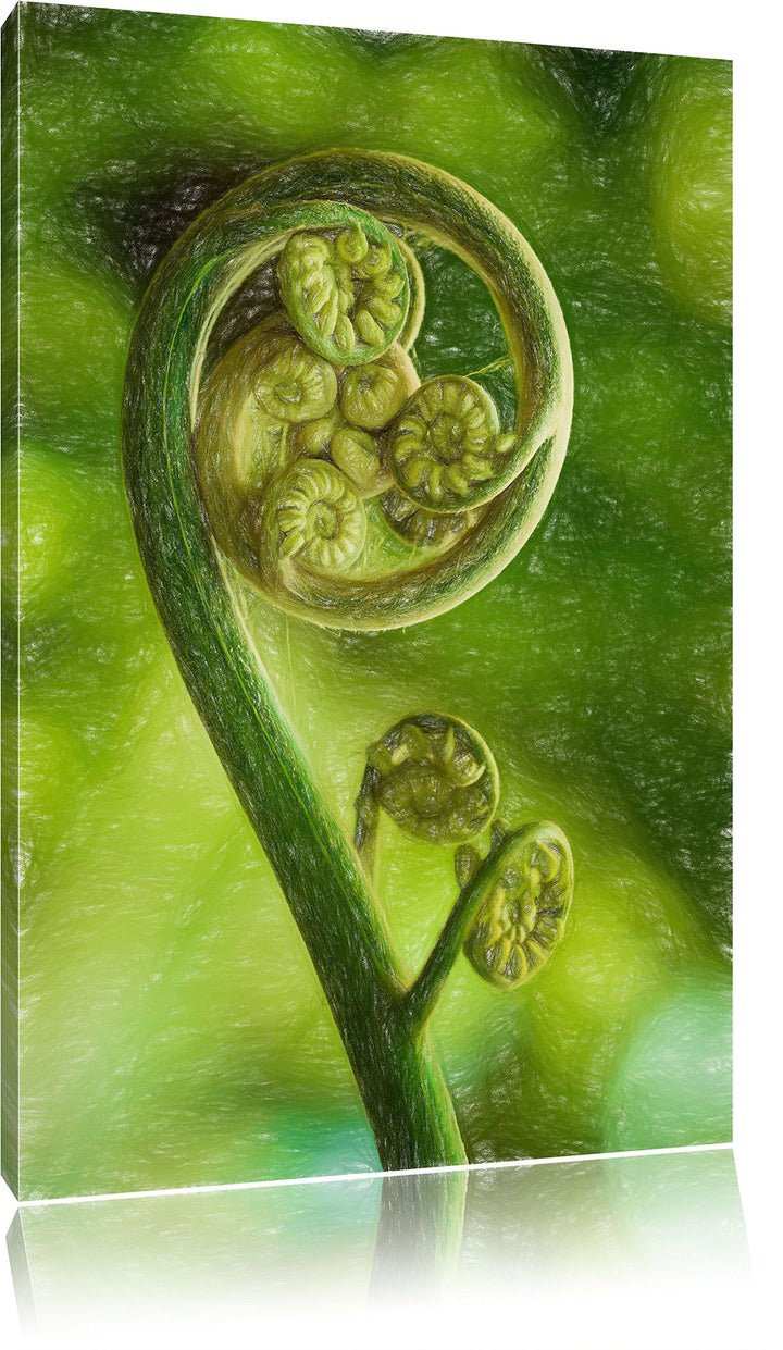 Pixxprint Lockiges Blatt von Einer Farne im Wald Kunst Buntstift Effekt, Format: 100x70 auf Leinwand
