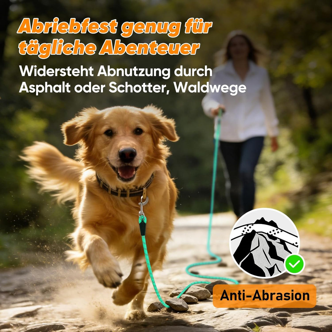 Aystkniet Schleppleine für Hunde, 5M 10M 15M 20M 30M Lange schleppleine mit 2 Wirbelhaken, Trainings