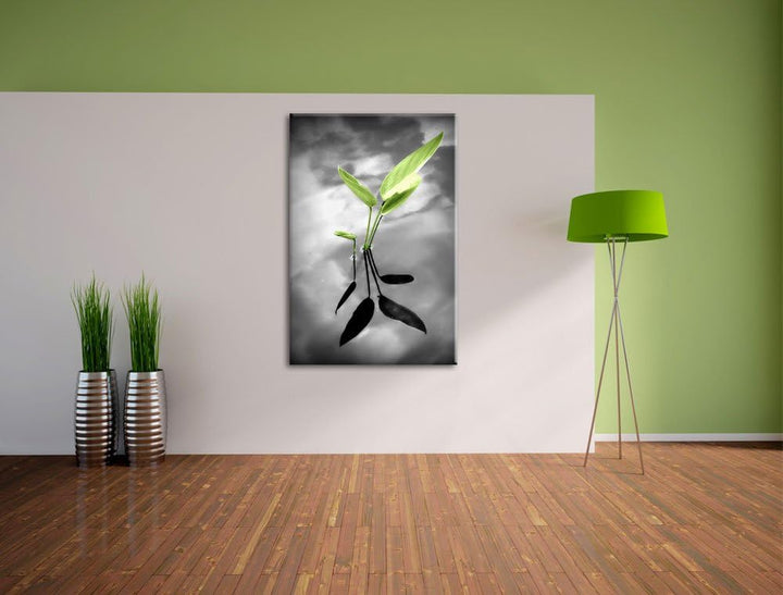 Pixxprint grüne Blätter im Wasser auf Leinwand, XXL riesige Bilder fertig gerahmt mit Keilrahmen, Ku