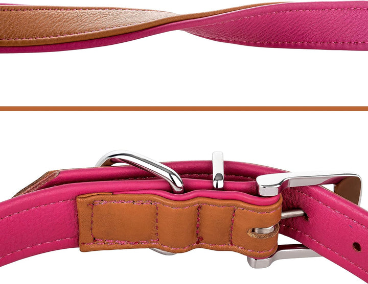 Schnüffelfreunde Lederhalsband Hund - Fun Line (XXL - 55-65cm, Beige-Pink) XXL Beige-Pink, XXL Beige