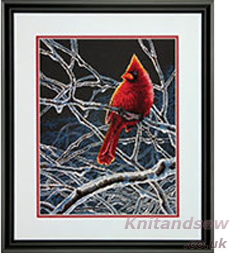 DIMENSIONS ICE Cardinal, Cotton, Multi-Colored Eis, Kardinal (Ice Cardinal), Eis, Kardinal (Ice Card