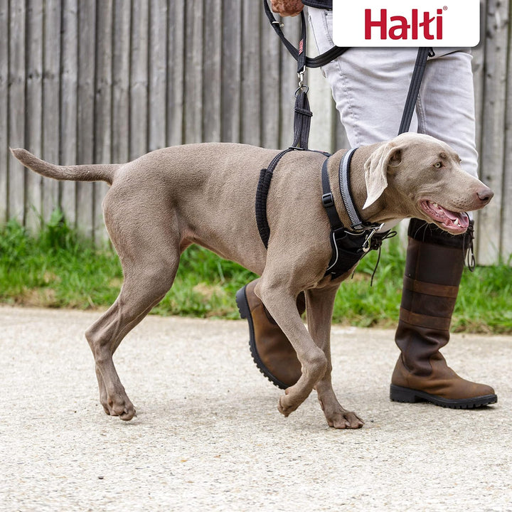 HALTI No Pull Anti-Zug Geschirr, Grösse Gross - Verhindert, dass Ihr Hund an der Leine zieht, Gepols