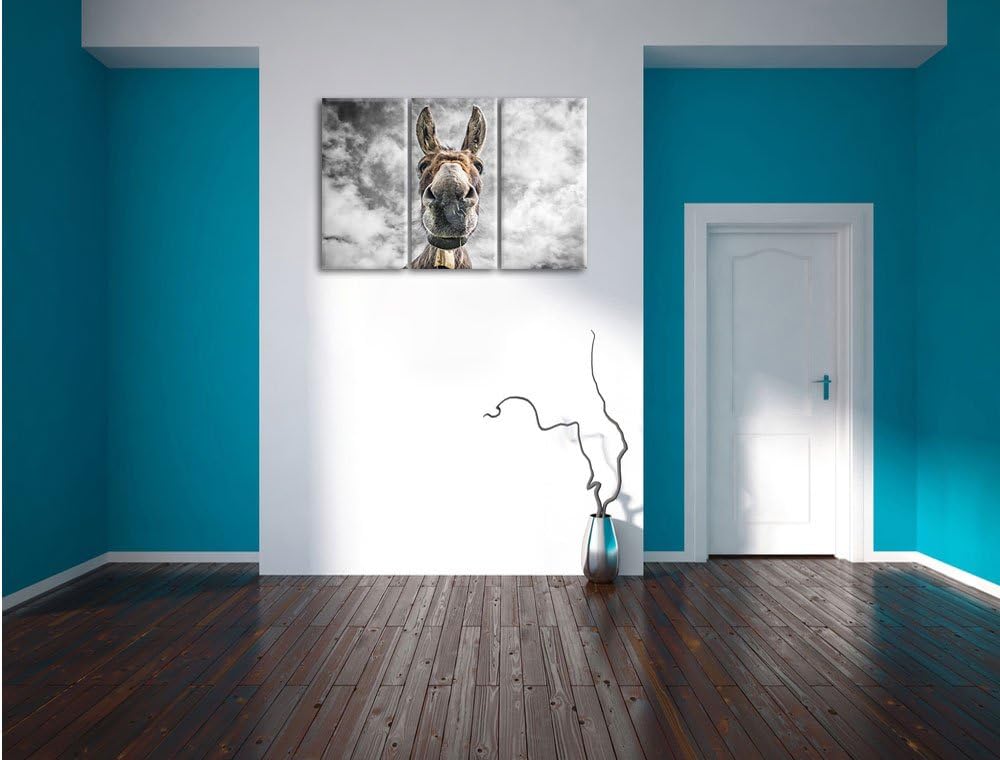 Pixxprint Lustiger Esel als Leinwandbild | Grösse: 3 Teilig (120x80) | Wandbild| Kunstdruck | fertig