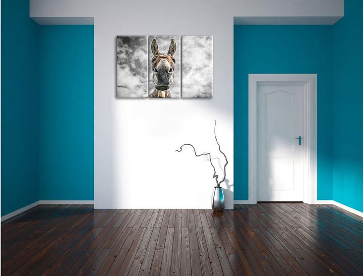 Pixxprint Lustiger Esel als Leinwandbild | Grösse: 3 Teilig (120x80) | Wandbild| Kunstdruck | fertig