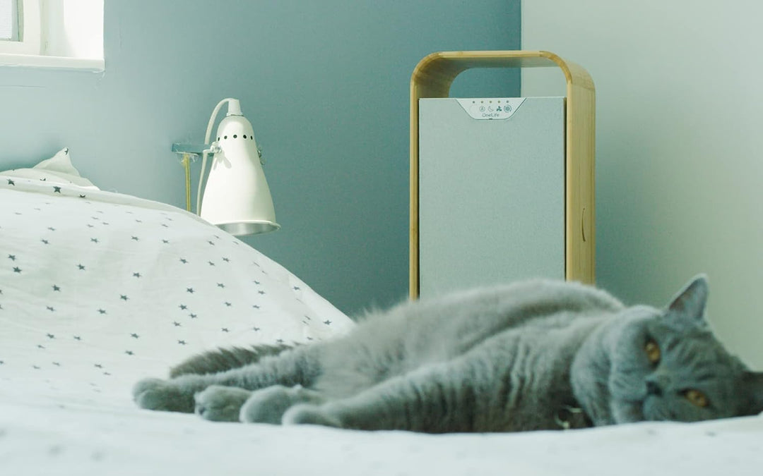 OneLife X Design-Luftreiniger | waschbarer Filter | keine Filterkosten | entfernt 99,99% Pollen, Sta