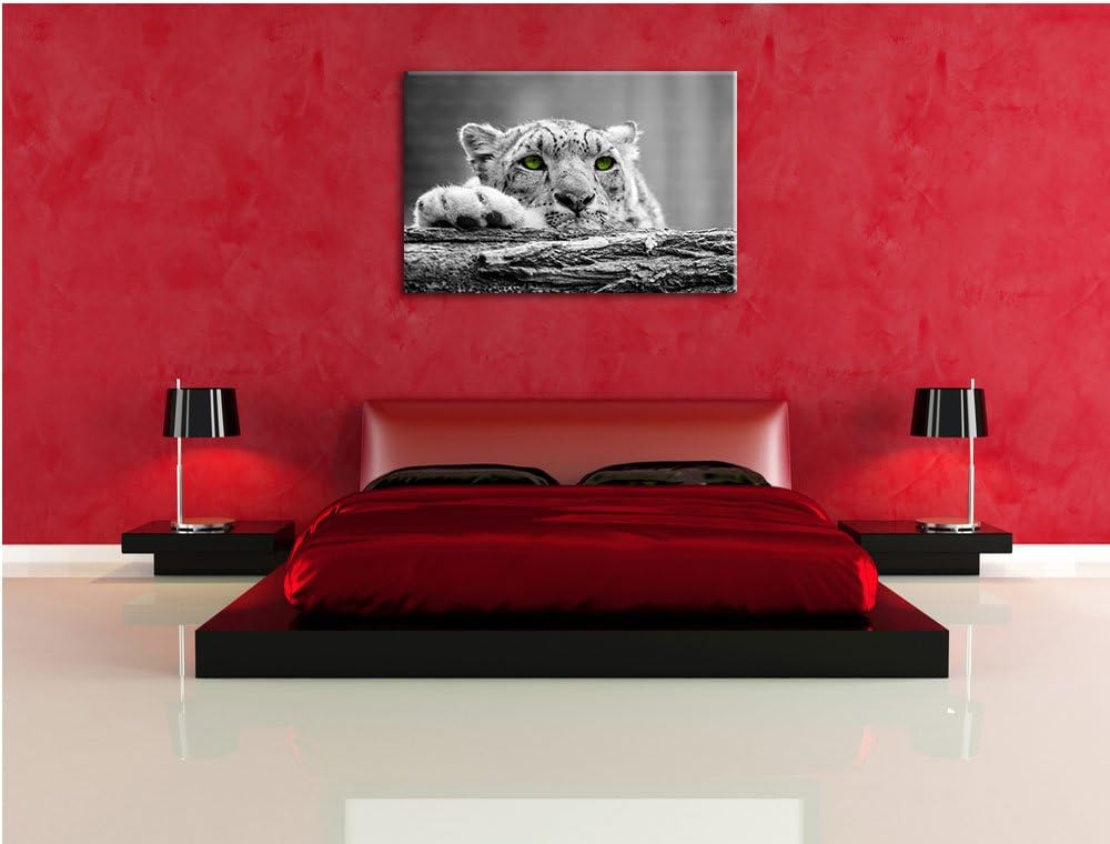 Schöner Gepard mit grünen Augen auf Baumstamm schwarz/weiss Format: 100x70 auf Leinwand, XXL riesige