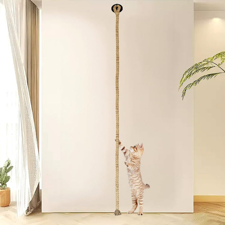 Sisal Kletterseil, Sisalseil fur Katzen, 300 x 3 cm, Stabiles Katzenspielzeug Seil zur Decken-/Wandm