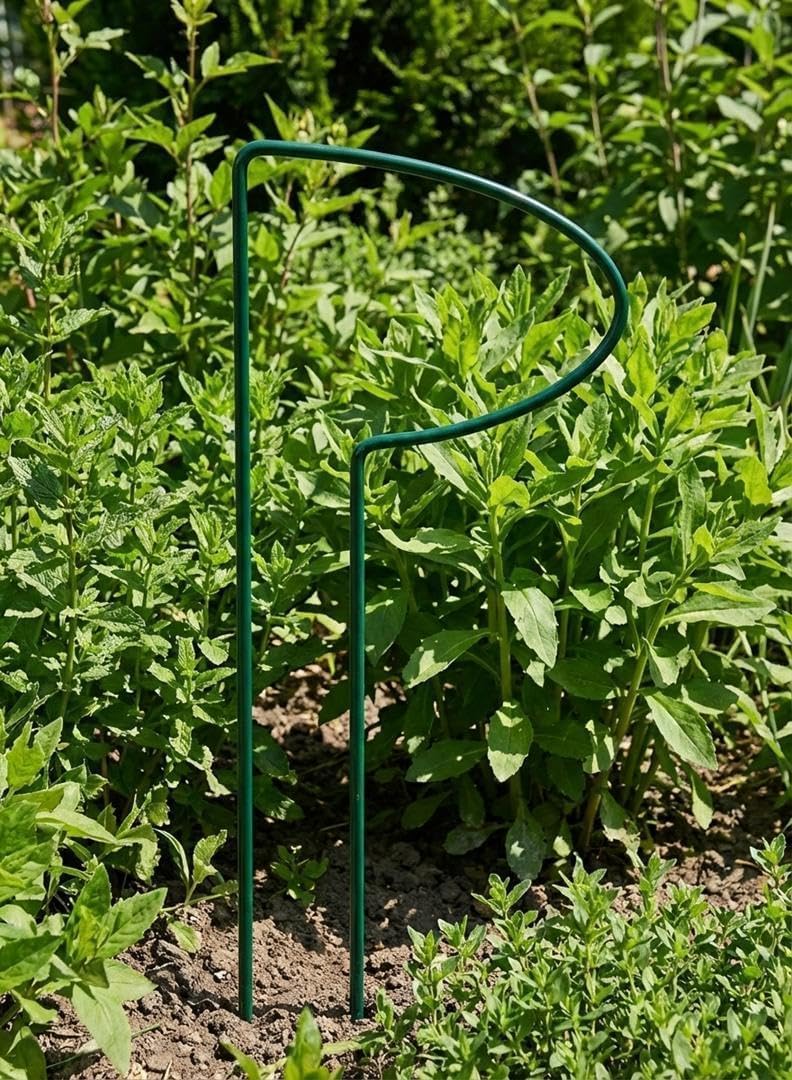 Kapaga - Staudenhalter-Set x10 – Pflanzenstütze, Rankhilfe Rosenstütze 10 Stück, 10 Stück