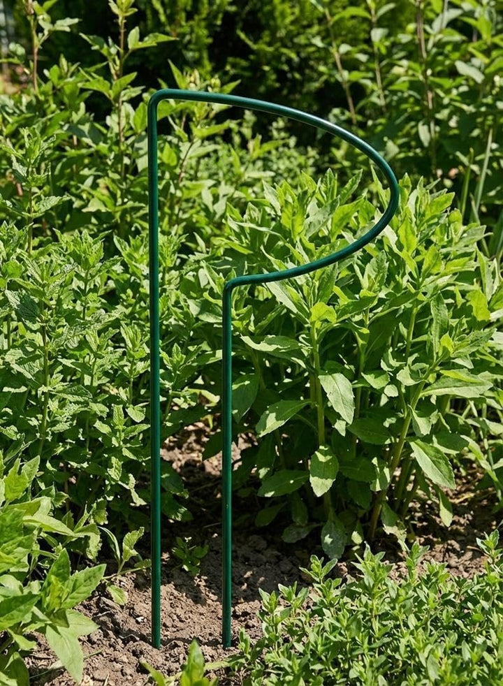 Kapaga - Staudenhalter-Set x10 – Pflanzenstütze, Rankhilfe Rosenstütze 10 Stück, 10 Stück