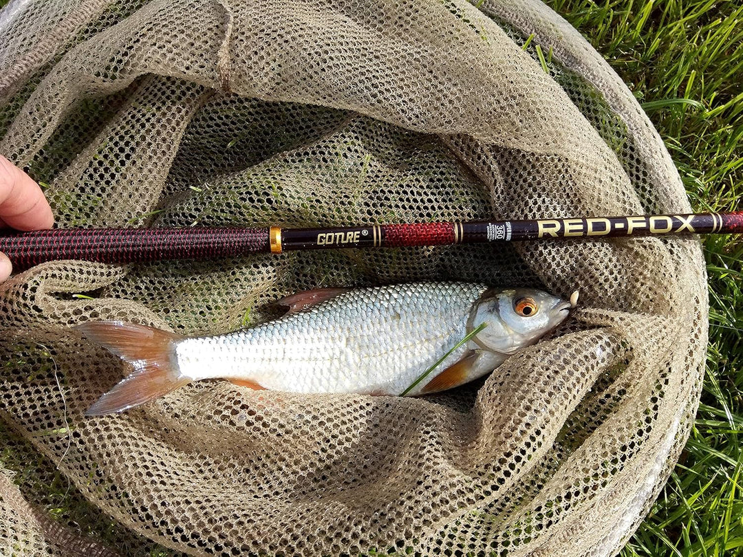 Goture Angelrute,Stipprute,Geocaching Angel,Teleskoprute,Karpfenrute,Forellenrute,Teleskop Angelrute