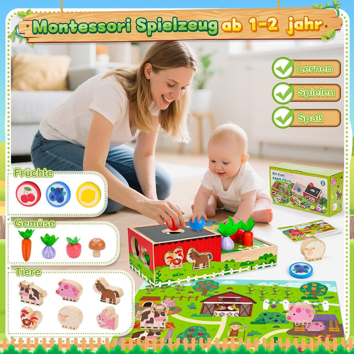 Montessori Spielzeug ab 1 2 3 Jahr | Holz Kinderspielzeug ab 1 Jahre | Motorik Steckspiel für 1-3 jä