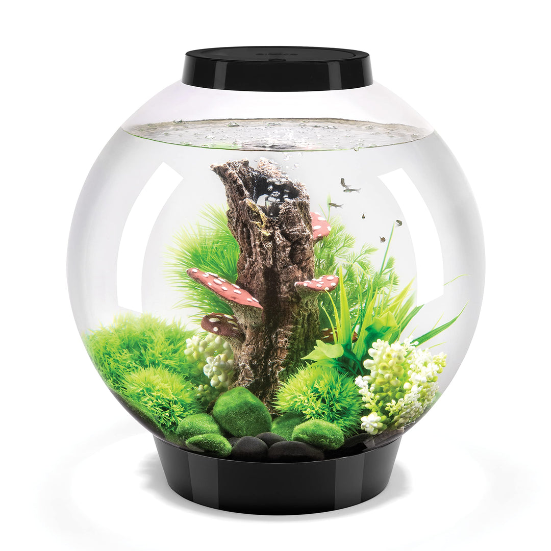 biOrb 72005 CLASSIC 30 LED schwarz - dekoratives Aquarium Komplett-Set mit Filter-System, LED-Beleuc