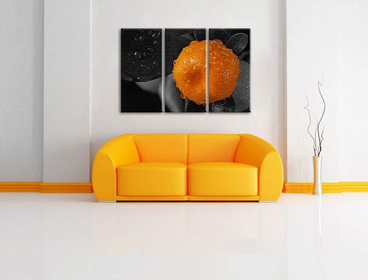 Orange Orangejuice Black Waterdrop on Orange schwarz/weiss 3-Teiler Leinwandbild 120x80 Bild auf Lei