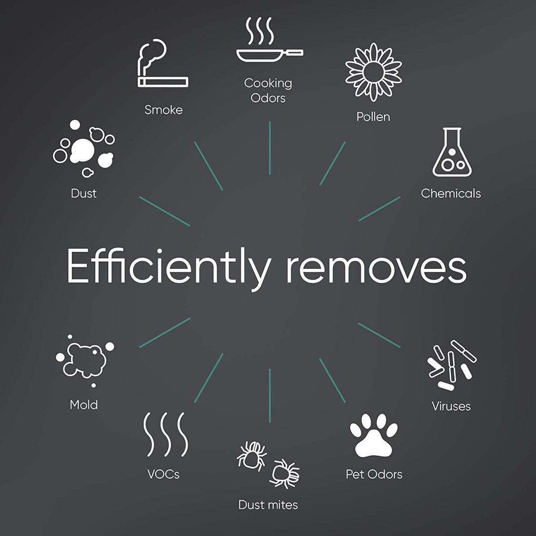 BLUEAIR Protect 7300 SmartFilter, Original-Ersatzfilter für Protect 7370i, 7310i Home Air Purifiers