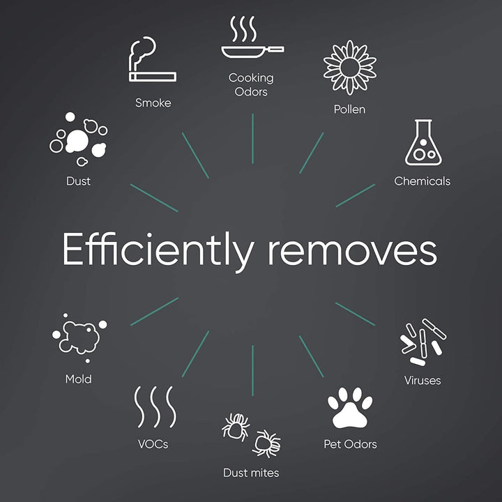 BLUEAIR Protect 7300 SmartFilter, Original-Ersatzfilter für Protect 7370i, 7310i Home Air Purifiers