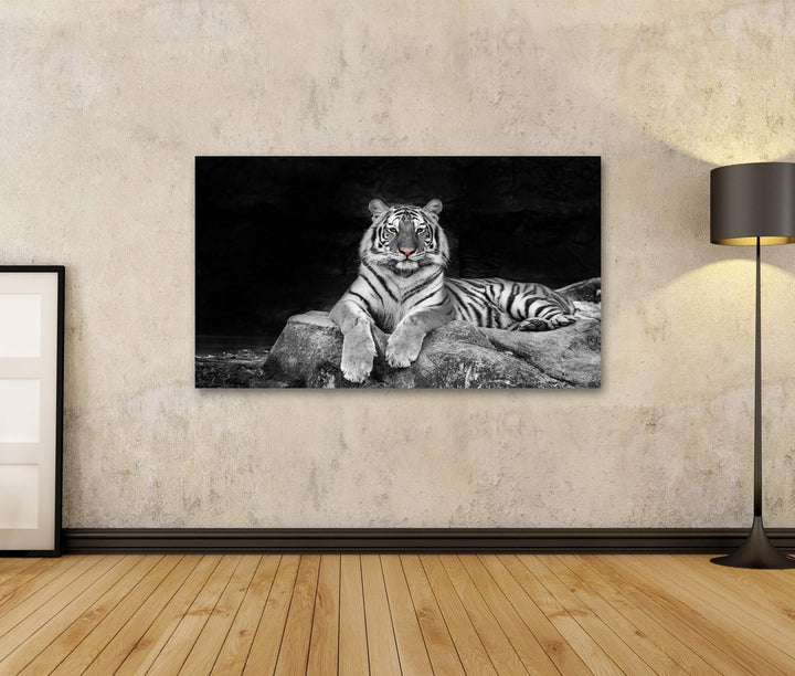 Bild auf Leinwand weisser Tiger Wandbild Poster Leinwandbild 100x57 1-teilig, 100x57 1-teilig