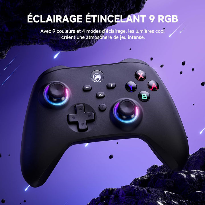 ECHTPower Switch Controller, Switch Pro Controller mit Turbo/Programmbare Taste/Vibration/RGB/6-Achs