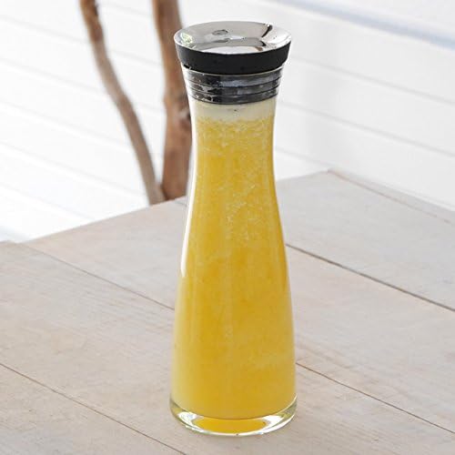 VASNER Entsafter Edelstahl Saftpresse Obstpresse für Säfte aus Obst und Gemüse Slow Juicer