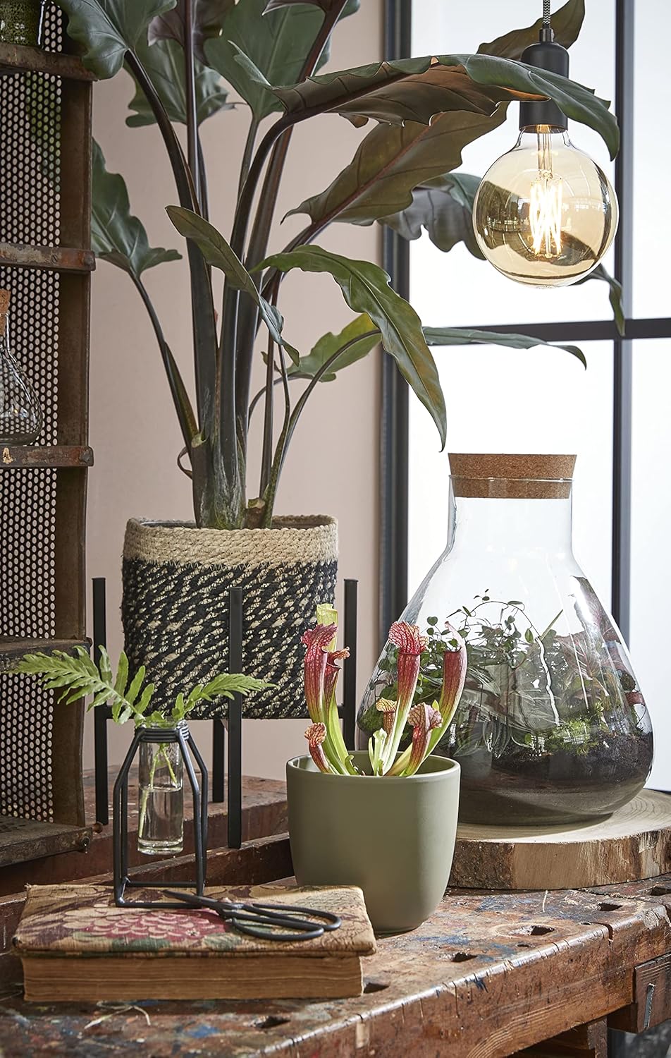 MICA Decorations Decorations Glas Terrarium Glasdose mit Korkverschluss Emily recyceltes Glas transp