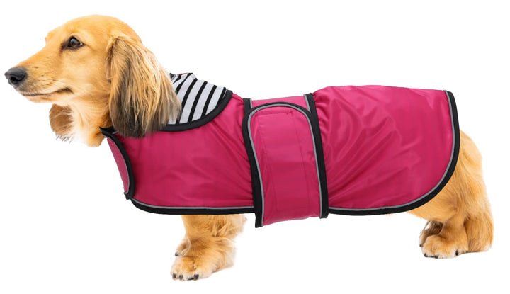 Geyecete Hunde Regenmantel,Einstellbar Wasserdicht Hundejacke für Dackel,Regenmantel mit reflektiere