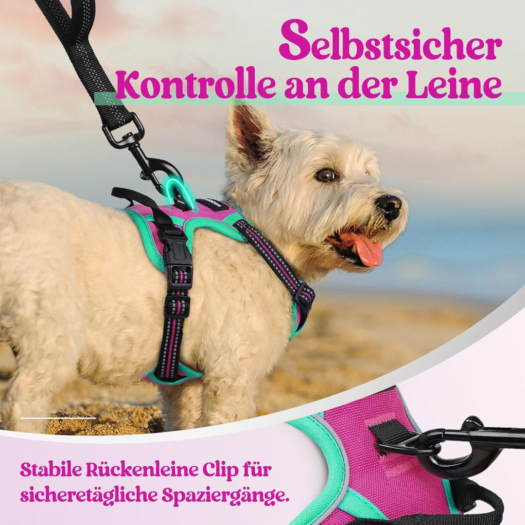 rabbitgoo Hundegeschirr Mittelgrosse Hunde, Anti Zug Geschirr mit Kontrolle, No Pull Verstellbar Hun