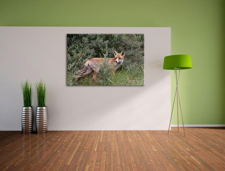 listiger Fuchs im Wildstrauch Leinwand, XXL riesige Bilder fertig gerahmt mit Keilrahmen, Kunstdruck