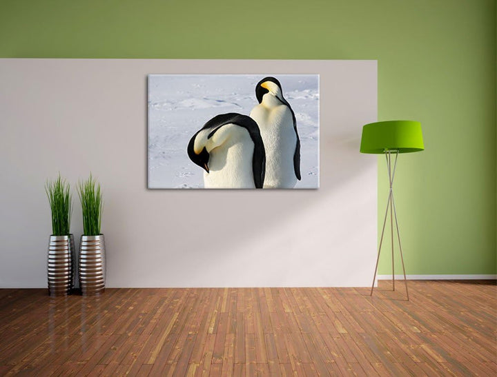 zwei Kaiserpinguine beim Putzen Leinwand, XXL riesige Bilder fertig gerahmt mit Keilrahmen, Kunstdru