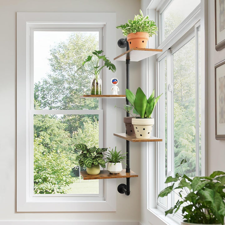 Drehbarer Fensterpflanzenständer Massivholz - Wandmontiertes Pflanzenregal für Küche, Bar &amp; Wohnzimm
