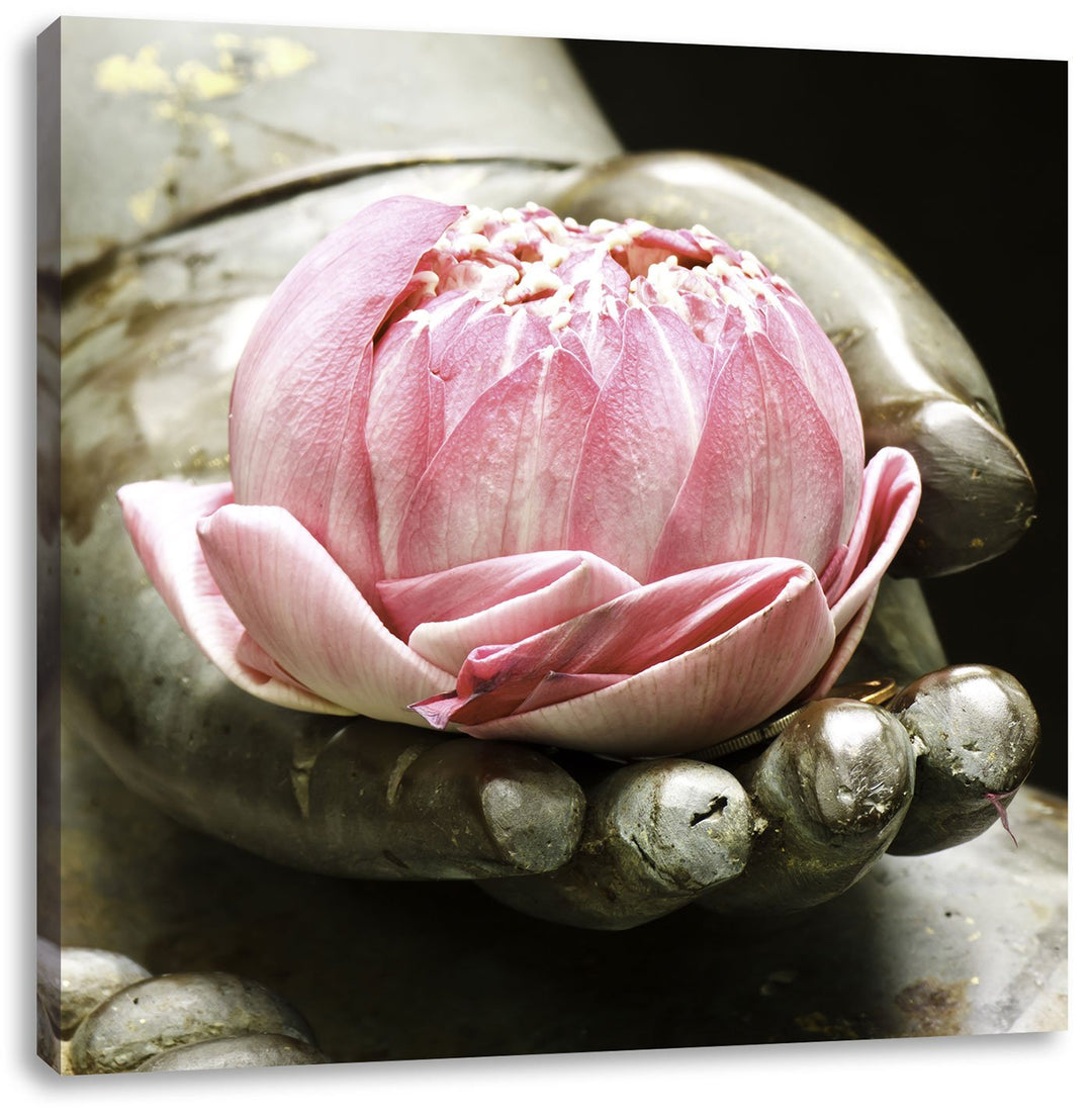 Pixxprint Lotus auf der Hand eines Buddhas, Format: 70x70 auf Leinwand, 70x70